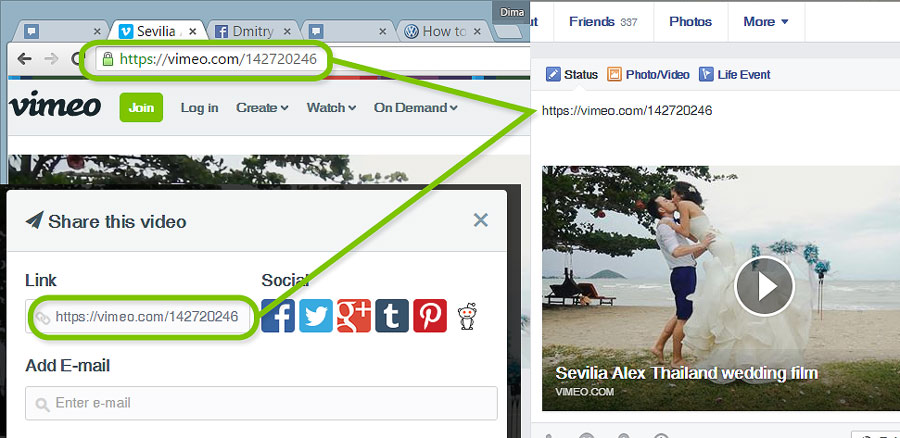 How To Download Videos From Vimeo To Facebook Videola